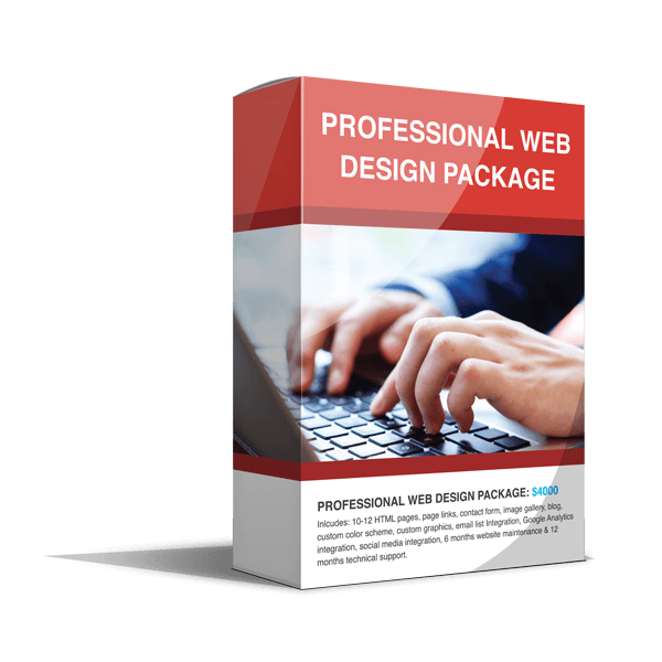 PROFESSIONAL WEBSITE PACKAGE