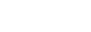 MailChimp Partner Badge